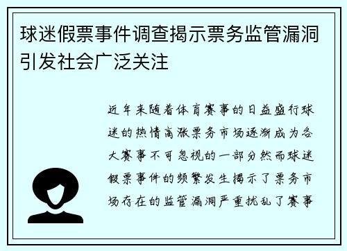 球迷假票事件调查揭示票务监管漏洞引发社会广泛关注